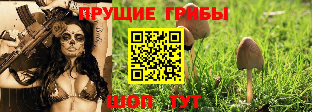 Галлюциногенные грибы Psilocybine cubensis  Галлюциногенные грибы MAGIC MUSHROOMS  Луховицы  Вход с VPN 