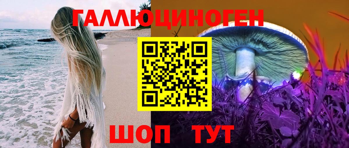 Псилоцибиновые грибы GOLDEN TEACHER Луховицы